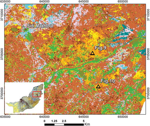 Figure 12. Figures 9 and 10 location represented on the DT map of June 2014. Map projection: UTM – WGS 1984, Zone 32N, EPSG 32632.