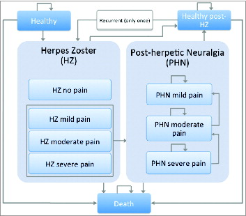 Figure 7. Markov model structure HZ = herpes zoster; PHN = post-herpetic neuralgia.