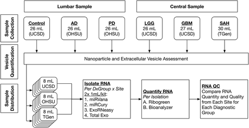 Figure 1. Cerebrospinal fluid (CSF) study design. Pools of CSF were generated for six diagnostic groups (five to 12 subjects/group): neurologically normal subjects (Control) from University of California, San Diego (UCSD); neurodegenerative disease [Alzheimer’s disease (AD) and Parkinson’s disease (PD)] from Oregon Health & Science University (OHSU); central nervous system tumour [low-grade glioma (LGG) and glioblastoma multiforme (GBM)] from UCSD; and subarachnoid haemorrhage (SAH) from the Translational Genomics Research Institute (TGen). Aliquots from each pool of CSF were first used to assess the extracellular vesicles (EVs) in pooled CSF samples for each diagnostic group. The remaining aliquots were distributed across three institutes, where RNA isolation was performed in parallel using commercial RNA isolation kits: two designed to isolate total RNA and two designed to isolate EV RNA. The yield and quality of each RNA sample were assessed using RiboGreen and small RNA Bioanalyzer assays performed at each institute, and the outcomes from the studies were compared. QC, quality control.