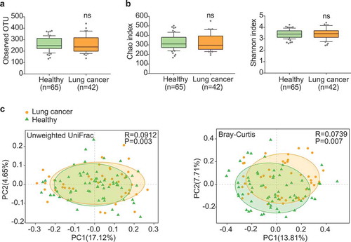Figure 1. Gut microbiota dysbiosis in lung cancer patients. (a) Numbers of OTUs observed in patients and healthy controls. (b) Microbial richness based on the Chao index and diversity based on the Shannon index. The box represented the interquartile range (IQR) between the first and the third quartiles, and the midline represented the median. Whiskers extended to values within 1.5 times IQR. Circles indicated outliers beyond the whiskers. (c) Principal coordinates analysis (PCoA) for lung cancer (orange) and healthy control samples (green). Left, Unweighted UniFrac; right, Bray–Curtis. Significant differences were observed between patients and healthy controls with ANOSIM test (UniFrac, R = 0.0912, P = .003; Bray–Curtis, R = 0.0739, P = .007). The first two principal coordinates (PCs) were each labeled with the percentage of variance explained.