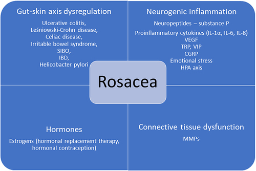 Figure 2 Schematic view of possible factors belonging to the gut-brain-skin axis and contributing to the molecular mechanisms of rosacea. Property of the author.