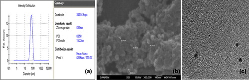 Figure 1. a) Size analysis, b) SEM and c) TEM images of AO-loaded nanoparticles.