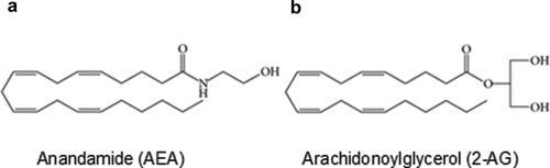 Figure 1. Chemical structures of N-arachidonoylethanolamine (AEA) and 2-arachidonoylglycerol (2-AG), two major endogenous cannabinoids (endocannabinoids). (a) AEA. (b) 2-AG