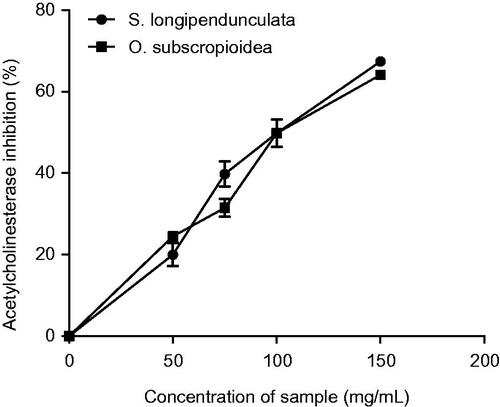 Figure 7. Acetylcholinesterase inhibition by aqueous extract of S. longipendunculata root and O. subscropioidea leaf.