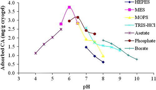 Figure 3. Effects of different buffer types on the CA adsorption onto CA-imprinted PHEMAH cryogel. Temperature: 25°C, CA concentration: 0.5 mg/mL, chromatographic flow rate: 0.5 mL/min.