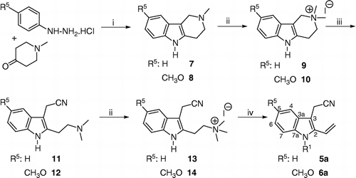 Scheme 1 Synthesis of 2-vinylindoles 5a and 6a. Reagents: i: HCl-CH3OH; ii: CH3I; iii: KCN, EtOH-H2O reflux; iv: NaOHaq.