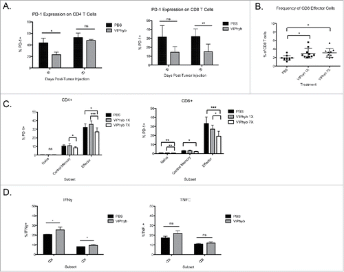 Figure 6. VIPhyb treatment reduced PD-1 expression in CD4+ and CD8+ T cells and enhanced the production of pro-inflammatory cytokines. Peripheral blood and spleen samples were collected on days 15 and 30 post-tumor cell injection and analyzed by flow cytometry. (A) PD-1 expression on total peripheral blood CD4+ and CD8+ T cells at the indicated time points. (B) Frequency of CD44+CD62L− effector CD4+ and CD8+ T cells in peripheral blood 15 d post-tumor cell inoculation. (C) Expression of PD-1 on subsets of peripheral blood CD4+ and CD8+ T cells 15 d post-tumor cell injection as defined by the expression of CD44 and CD62L. Graphs compare the expression of PD-1 in mice treated with PBS, one single dose of VIPhyb, or seven consecutive daily doses of VIPhyb. (D) Expression of IFNγ and TNF-α in splenic T cells from C1498-bearing mice treated with PBS or seven doses of VIPhyb. *p < 0.05, *p < 0.01, and ***p < 0.001 indicate significant differences between groups.