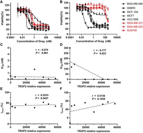 Figure 3 The expression levels of TROP2 were significantly correlated with the anti-tumor effects of DS001 in diverse BC cell lines. Dose-response curves generated after 96 h treatment with (A) MMAE and (B) DS001. Data were represented as mean ± SD (n = 3). Correlation between the TROP2 expression levels and IC50 values for (C) MMAE and (D) DS001. Correlation between the TROP2 expression levels and the Imax (%) values for (E) MMAE and (F) DS001. Pearson correlation coefficients were shown.