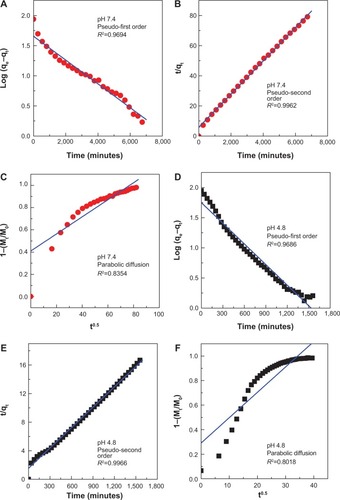 Figure 10 Fitting of the data for PA release from PAN into various solutions to the pseudo-first order, pseudo-second order kinetics and parabolic diffusion model for pH 7.4 (A–C) and pH 4.8 (D–F).Abbreviations: PA, protocatechuic acid; PAN, protocatechuic acid nanocomposite; M0, amount of protocatechuic acid between the layers at release time 0; Mt, amount of protocatechuic acid between the layers at release time t; qe, amount of protocatechuic acid released at equilibrium; qt, amount of protocatechuic acid released at time t; k, release rate constant.