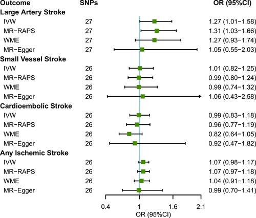 Figure 1 MR estimates of short sleep duration with ischemic stroke and its subtypes from the main analysis (IVW) and sensitivity analysis (MR.RAPS, WME, and MR-Egger). Data is displayed as OR and 95% CI per doubling of genetic liability for short sleep duration.