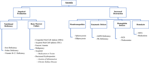 Figure 1 Pathophysiologic classification of anemia.
