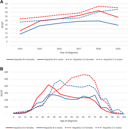 Figure 3 Incidence rates of HBV and HCV per 100,000 population over 2014–2019 ((A) – crude year- and sex-specific, (B) – crude age- and sex-specific).