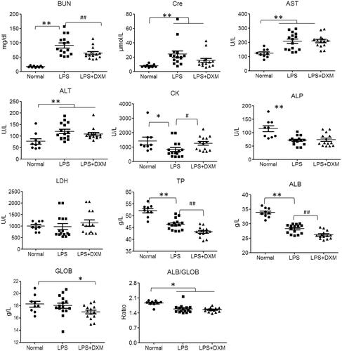 Figure 1. Parameters of biochemistry of serum samples of mice after intravenous administration. Dexamethasone (DXM) was used as 0.5 mg/kg. Data are presented as the mean ± SD (9 mice in the normal group, 15 mice in the LPS group and 14 mice in the LPS + DXM group). *p < 0.05 or **p < 0.01 vs. normal group. #p < 0.05 or ##p < 0.01 vs. LPS group.
