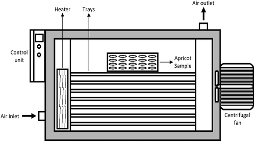 Figure 1. Experimental setup for the drying experimental studies