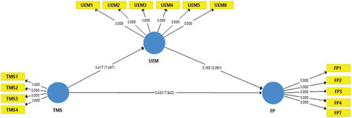 Figure 4. Indirect effect.