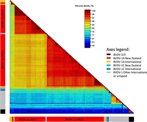 Figure 5. Heatmap showing percent identity between pairs of bovine viral diarrhoea virus (BVDV) E2 sequences. Sequences are aligned along the x and y axes and grouped as described for Figure 2 with the position of New Zealand sequences from clades NZ1 and NZ2 indicated. Identity scores for each pairwise comparison are represented by coloured boxes with identity increasing from blue to red.