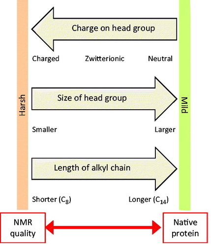 Figure 8. Tensions in selecting a detergent for solution-state NMR structural studies with a membrane protein. This diagram illustrates how the charge on the head group, size of the head group and length of the alkyl group in detergent molecules dictate the properties of detergents and micelle complex formation that provide opposing tensions with regards to achieving good quality NMR spectra and retaining native protein structure and activity. This Figure is reproduced in colour in the online version of Molecular Membrane Biology.