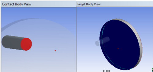 Figure 3. Contact body view and target body view.