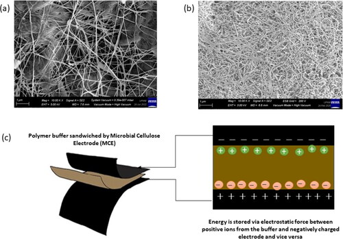 Figure 2. (a) 5.00 kV FESEM image of microbial cellulose. (b) the multiwalled carbon nanotube seen in 3.00 kV FESEM image. (c) Three-layer EDLC construction of microbial cellulose-MWCNT-OH | potato starch-methycellulose-NH4I-glycerol | microbial cellulose-MWCNT-OH.