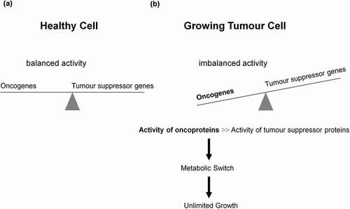 Figure 1. Role of oncogenes, tumor suppressor genes, and their corresponding proteins in tumorigenesis and metabolic switch. (a) A well-balanced expression of oncogenes and tumor suppressor genes, as well as a well-balanced activity of oncogenes and tumor suppressor proteins reciprocally controlling each other constitute the prerequisite of a normally functioning cell. Dependent on extracellular stimuli (e.g. glucose uptake) the synthesis and activity of these proteins are transiently activated or repressed. (b) However, mutations promoting synthesis and activities of oncoproteins or curbing synthesis and activities of tumor suppressor proteins enable the differentiated cell to turn into a undifferentiated tumor cell, thus introducing the metabolic switch, resulting in unlimited growth and proliferation.