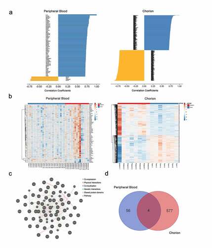 Figure 2. The characteristics of IL-27p28-correlated genes. (a) Pearson’s correlation coefficients of IL-27p28-correlated genes in maternal peripheral blood and chorion tissues. (b) Heatmap of expressions of IL-27p28-correlated genes in preterm and term pregnancies. (c) PPI network of IL-27p28-correlated genes in maternal peripheral blood. (d) Venn analysis of IL-27p28-correlated genes in maternal peripheral blood and chorion tissues
