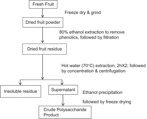 FIGURE 1 Scheme of extraction of crude polysaccharides from cherry, raspberry, and ginseng fruits.