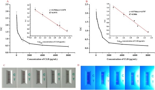 Figure 2. Standard calibration curve for CLB was obtained by plotting T/C against the logarithm of various CLB concentrations. (A) Standard calibration curve of TRFN-ICA. (B) Standard calibration curve of CG-ICA. (C) The detection result of TRFN-ICTS (the concentration of CLB were 100, 200, 800, 1000, and 2000 pg/mL). (D) The detection result of CG-ICTS (the concentration of CLB were 200, 400, 800, 1000, and 2000 pg/mL).