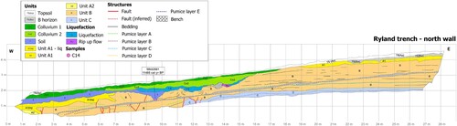 Figure 5. Trench log of the north wall of the Ryland trench. Units A-C correspond to Hinuera C (Manville and Wilson Citation2004) of Hinuera Formation and unit 1 corresponds to Waitoa Formation (of Houghton and Cuthbertson Citation1989; Brathwaite and Christie Citation1996).