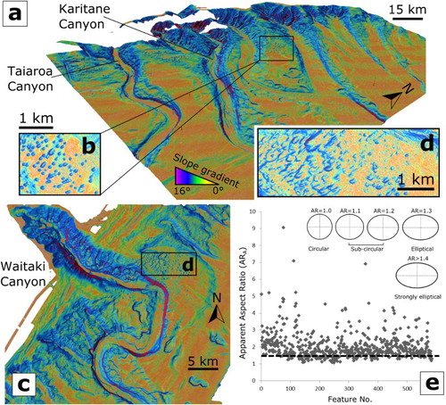 Figure 3. Slope shaded multibeam bathymetry of Area 1. A, Oblique view (from southeast towards northwest) of the Otago Shelf canyon complex showing multibeam bathymetry shaded by slope gradient. B, Sub-section of (A) showing a cluster of seafloor depressions to the north of the Karitane Canyon. The depressions are elongate along a northeast–southwest axis, and are asymmetrical in cross section, shallowing to the northeast. C, Multibeam bathymetry shaded by slope gradient of the Waitaki Canyon – map view (see Figure 2 for location). D, Sub-section of (C) showing elongate, asymmetrical seafloor depressions to the north of the Waitaki Canyon. E, Apparent aspect ratio (ARA) plot of the depressions along the Otago Shelf – 586 features in total – mapped across the extent of the data in Figure 2. Features with an ARA of > 1.4 (above the black dashed line) are considered strongly elliptical (after Maestrelli et al. Citation2017).