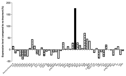 Figure 4 Summary of quantitative western blot analysis of protein kinases in SNG-M cells before and after treatment with GWRQ-MAPS peptide for 30 minutes. The raw data are presented by Figure S7 and Table S3.