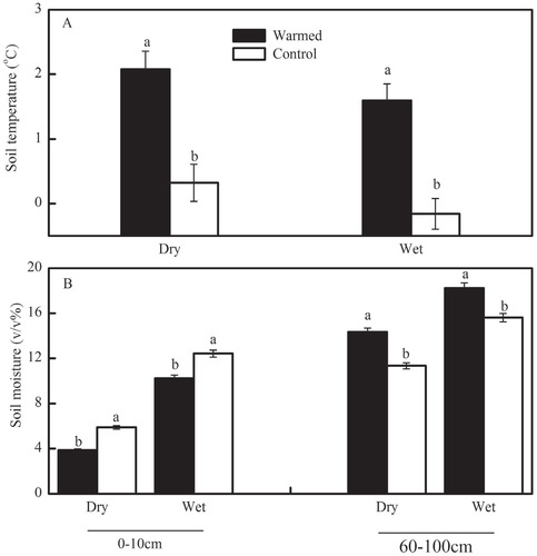 FIGURE 2. (A) Mean soil temperature (°C, 5 cm) and (B) soil moisture (v/v%, 0–10 and 60–100 cmb) from 1 October 2010 to 18 July 2013 in dry and wet conditions. Different labels above columns represent significant difference between control and warming. (P < 0.05).