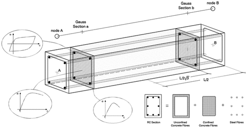 Figure 16. Fiber modelling approach: unconfined concrete fibers, confined concrete fibers and steel fibers.