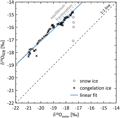 Figure 11. The stable oxygen isotope concentration in river ice (ice core LD19-BH-2) vs. interpolated values for sub-ice river water during ice growth. The linear fit is for congelation ice samples only (i.e., without the uppermost four ice core samples, gray open circles) and has the form: δ18Oice = 0.93 δ18Owater + 1.54 (n = 75, R2 = 0.96).