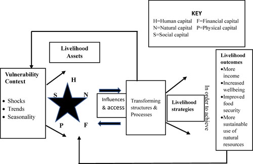 Figure 1. DFID’s sustainable livelihood framework. Source: DFID (Citation2000).