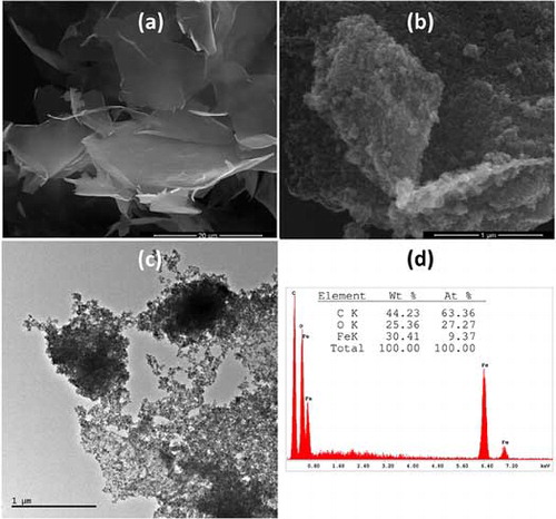 SEM micrographs of (a) graphene, (b) graphene–Fe3O4 nanocomposite, (c) TEM micrograph, and (d) EDS analysis of graphene–Fe3O4 nanocomposite.