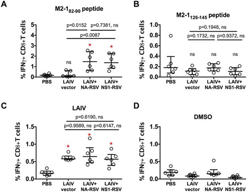 Figure 2. CD8+ T-cell response in mice after LAIV immunization measured by IFN-gamma ICS assay.(a). Stimulation of cells by M2-182–90 peptide. (b). Stimulation with M2-1126–145 peptide. (c). Stimulation with LAIV vector whole virus. (d). Stimulation with DMSO. Bars denote median and interquartile range. P values for Mann-Whitney U test are indicated. ns: not significant (P ≥ 0.05). Red asterisks denote significant differences in levels of IFN-gamma+ CD8+ T cell between PBS and LAIV vaccine groups.