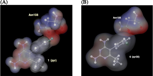 Figure 8.  The electrostatic potential is shown on the solvent accessible surface as red for negative and blue for positive values for Asn108 interacted with (A) compound 1 and (B) compound 6.