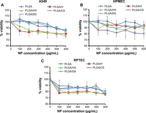 Figure 4 Viability (as a percentage of tissue-culture plastic control) of (A) lung epithelial adenocarcinoma (A549) cells, (B) human pulmonary microvascular endothelial cells (HPMEC), and (C) renal proximal tubular epithelial cells (RPTEC) following exposure to increasing concentrations of glycosaminoglycan-functionalized poly-lactide-co-glycolide (PLGA) nanoparticles (NPs) for 24 hours (n=3).Abbreviations: PLGA/CS, poly-lactide-co-glycolide functionalized with chondroitin sulfate; PLGA/DS, poly-lactide-co-glycolide functionalized with dermatan sulfate; PLGA/H, poly-lactide-co-glycolide functionalized with heparin; PLGA/HA, poly-lactide-co-glycolide functionalized with hyaluronic acid.