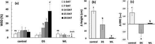 Figure 3. Changes in water saturation deficits (a), height growth (b) and root collar growth (c) of Prunus yedoensis under different water conditions. Each bar is expressed as the mean ± SD (n = 5). Means with difference letters are significantly different by DMRT Test (p < 0.05). DAT: days after treatment; ns: non-significance; n.d.: not detected.