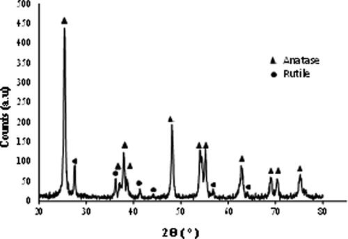 Figure 9. XRD spectrum of the nanoparticles dried from the colloidal suspension after calcination at 700 °C.