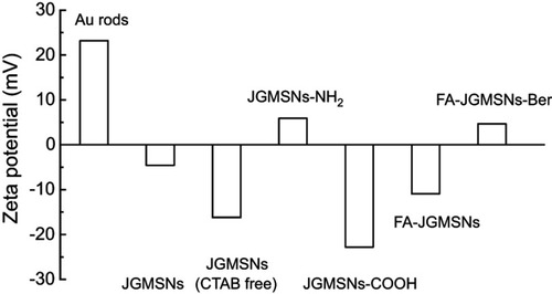 Figure S4 Zeta potential of these nanocomplexes in water.