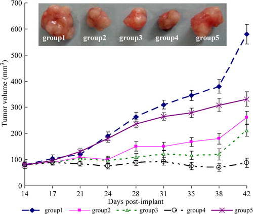 Figure 1.  Representative photographs of the harvested tumors from each group and serial changes in pre-established tumor volume during each treatment in athymic mice.