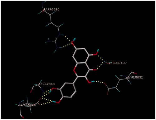 Figure 1. Binding pose and binding sites of quercetin on PI3K.