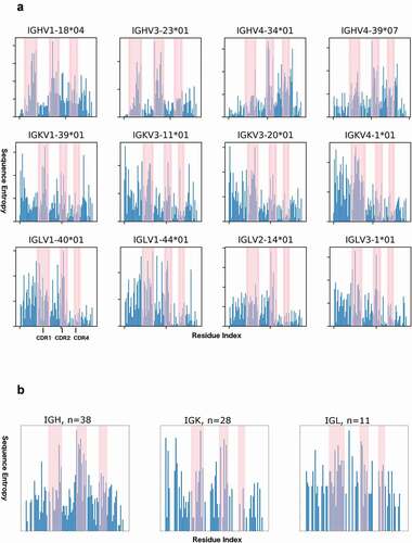 Figure 7. Sequence entropy in naïve human antibodies and human germlines