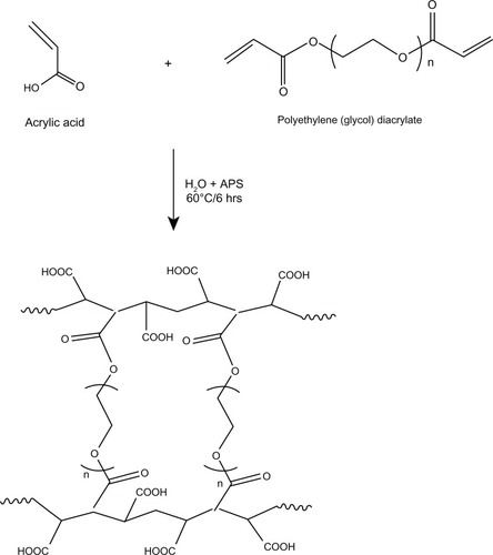 Figure 1 Synthesis of polyethylene glycol cross-linked acrylic polymers.Abbreviation: APS, ammonium persulfate.