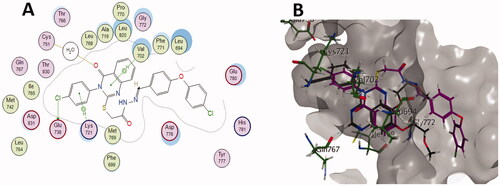 Figure 10. (A) 2D diagram and (B) 3D representation of molecular docking of compound 6d (magenta) in the binding site of EGFR (PDB: 1M17).
