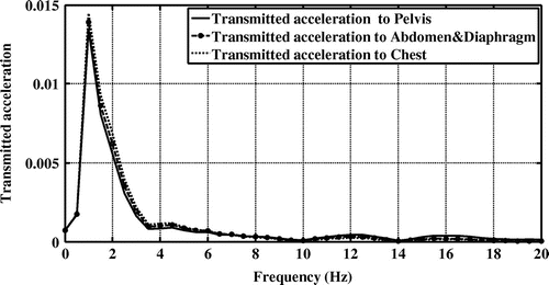 Figure 18. Transmitted accelerations to the human body for three body segments including pelvis, abdomen/diaphragm and chest of road-2 excitation in the second driving cycle.