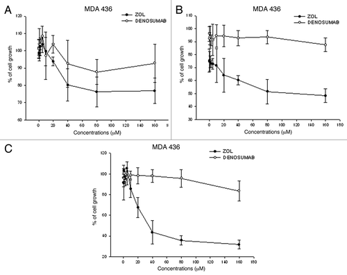Figure 1. Cytotoxicity of Dmab and ZOL in human MDA-MB-436 cells. Cell viability of the human breast cancer cell line MDA-MB-436 after treatment with increasing concentrations (0.31 to 160 μM) of Dmab (○) or ZOL (•) for (A) 24 h, (B) 48 h and (C) 72 h was evaluated by MTT assay and expressed as percentage of untreated cells. Each point is the mean of at least four different replicate experiments (± S.D.). Statistical analysis: p < 0.01, untreated vs. 80 μM and 160 μM ZOL treated cells at 48 h; p < 0.001, untreated vs. 40 μM, 80 μM and 160 μM ZOL treated cells at 72 h.