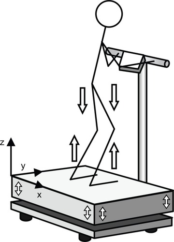 Figure 1 Illustration of the synchronous mode of vibration transmission in whole-body vibration exercise. Both legs extend and stretch at the same time, and a purely linear acceleration is directed to the trunk.