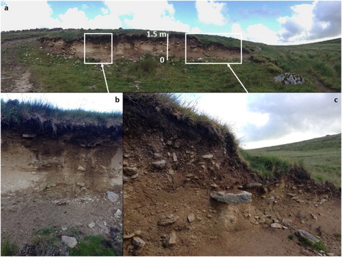 Figure 7. The sedimentary exposure through the valley floor deposits in the De Lank River showing: (a) the architecture of the whole exposure; (b) the two-tiered stratigraphy of upper and lower head; and (c) the crude stratification and discontinuous boulder and gravel horizons in the lower fissile sandy granule gravels overlain by the coarser diamicton (lower and upper head deposits respectively).